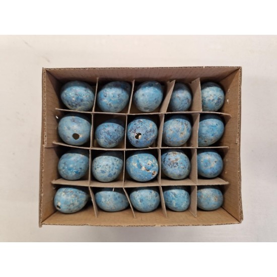 QUAIL EGGS TURQUOISE 60PCS