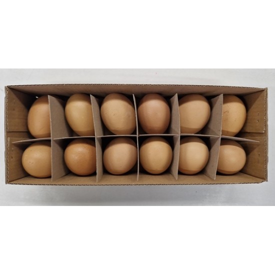 OEUFS DE POULET BRUN 12PCS