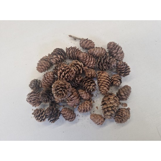 LARIX NATURAL +/-500GR