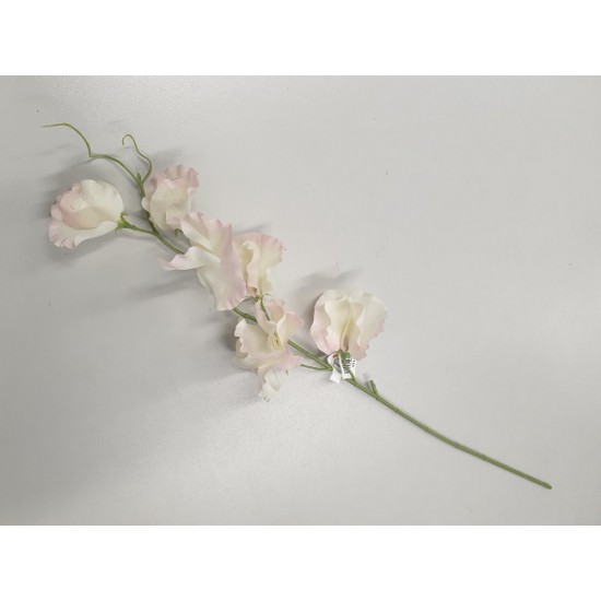 LATHYRUS 50CM PINK