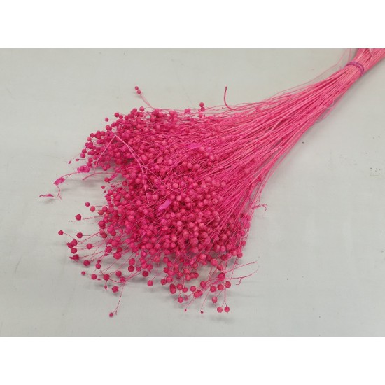 LINUM (VLAS) FUCHSIA +/-50GR BOPP/kraft