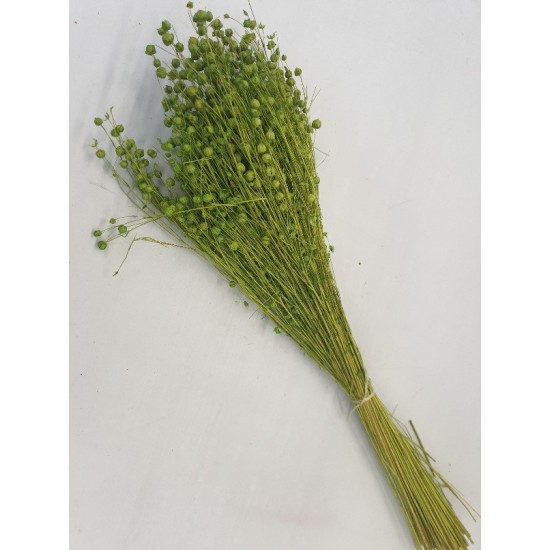 LINUM (FLAX) LIME GREEN +/-50GR BOPP/kraft