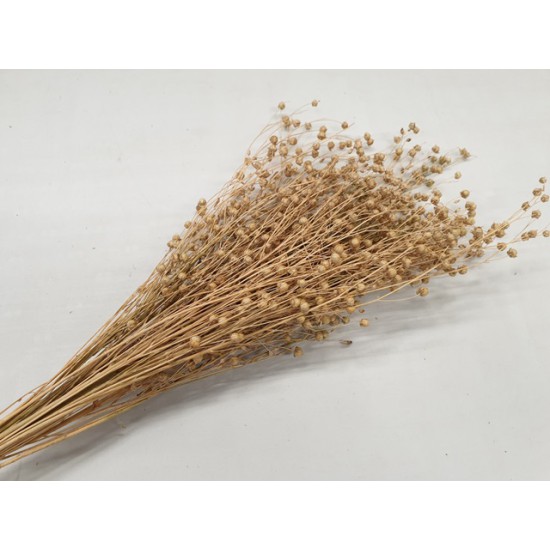 LINUM (VLAS) NATUREL +/-50GR BOPP/kraft