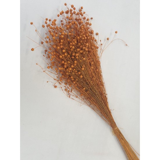 LINUM (FLAX) ORANGE (APRICOT) +/-50GR BOPP/kraft