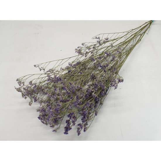 LIMONIUM MAUVE NATUREL 1/2 BOPP/kraft