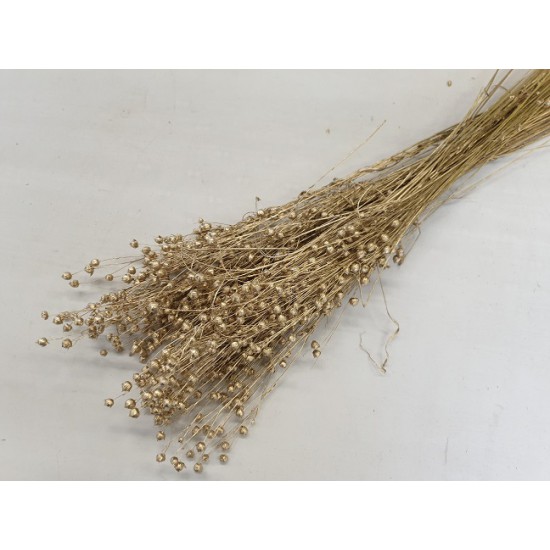 LINUM (FLAX) GOLD +/-50GR BOPP/kraft