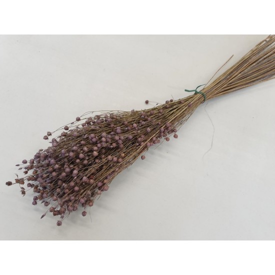 LINUM (FLAX) LILAC +/-100GR LINUM (FLAX) LILAC +/-100GR
