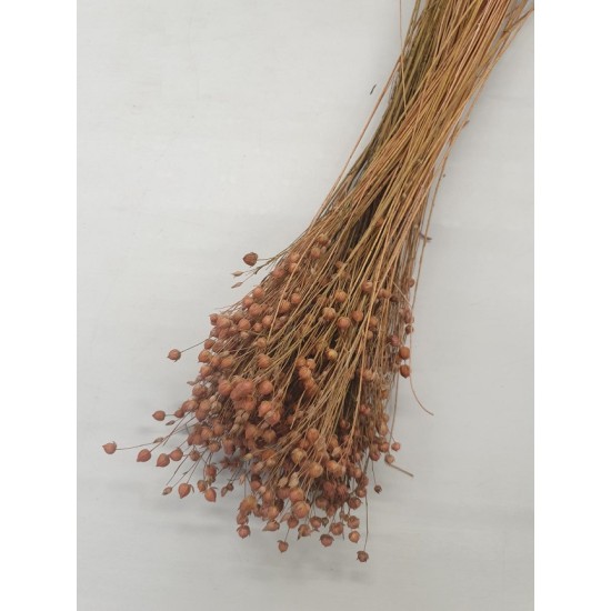 LINUM (FLAX) OLD PINK +/-100GR LINUM (FLAX) OLD PINK +/-100GR