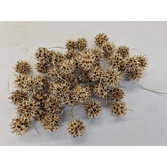 LIQUIDAMBAR GOLD +/-150GR