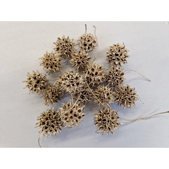 LIQUIDAMBAR GOLD +/-40GR