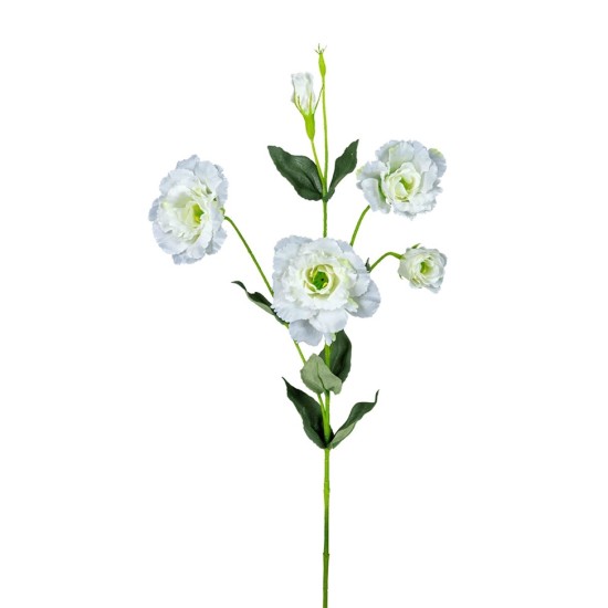 LISIANTHUS 74CM WHITE