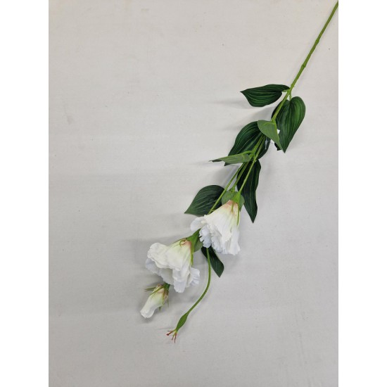 LISIANTHUS 84CM WIT