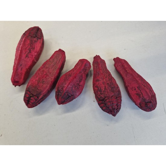 MEHOGNI BURGUNDY 5PCS