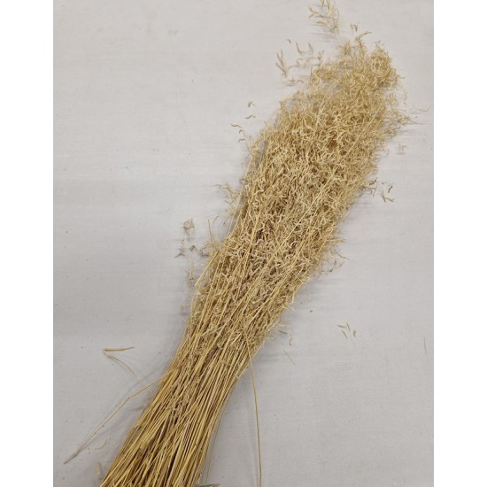 MUNNI GRASS BLANCHI +/-100GR BOPP/kraft