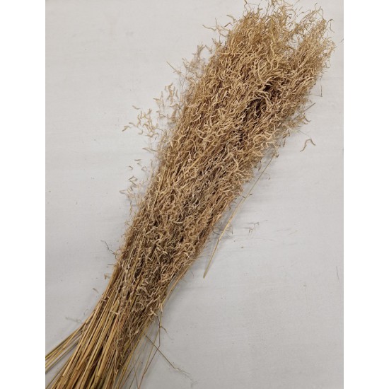 MUNNI GRASS NATURAL +/-100GR BOPP/kraft