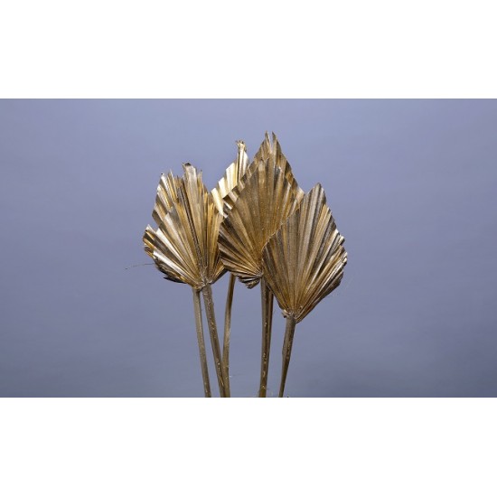 PALM SPEAR GOUD 5ST BOPP/kraft