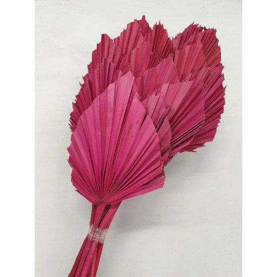 PALM SPEAR ROUGE 5PCS BOPP/kraft