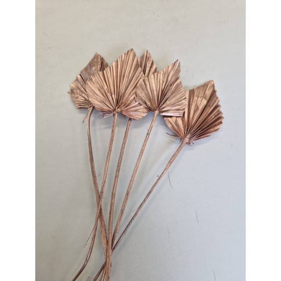 PALM SPEAR ROSE GOLD 5PCS BOPP/kraft emballage hobby