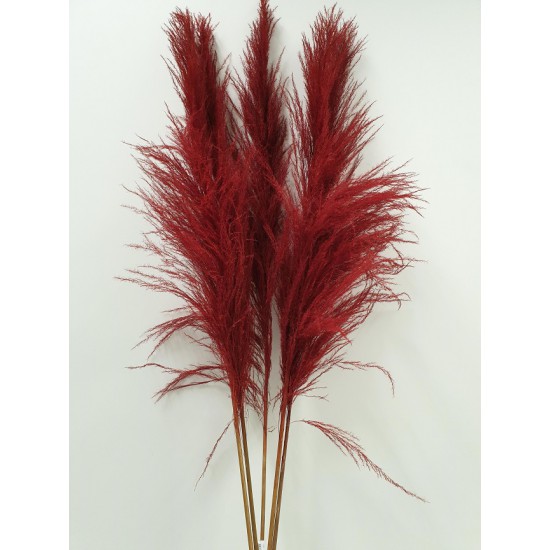 PAMPAS FIJN ROOD 150/160CM 1ST