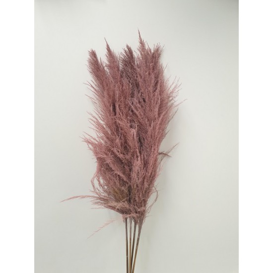 PAMPAS ROSE 150/160CM 1PC