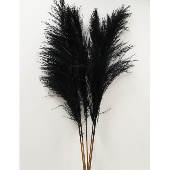 PAMPAS NOIR 150/160CM 1PC