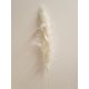 PAMPAS THAI GEBLEEKT 140CM 3ST