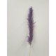 PAMPAS THAI LILAC 140CM 3PCS