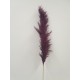 PAMPAS THAI PRUNE 140CM 3PCS