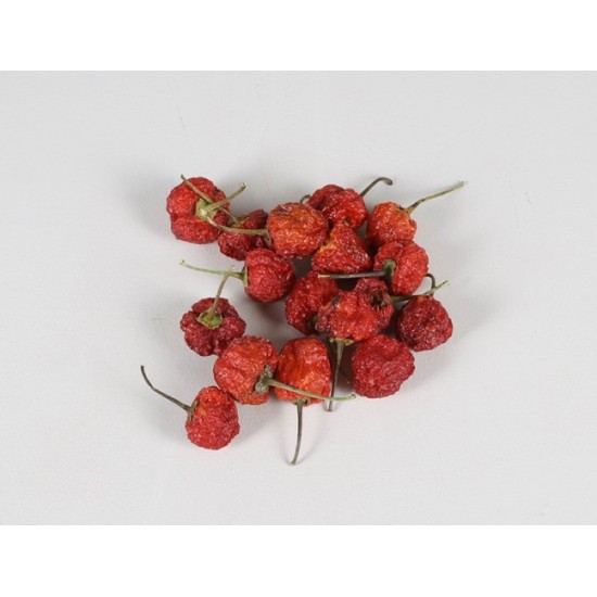 PEPPER CHILLIES ROUND +/-45GR