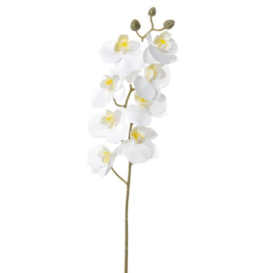 PHALAENOPSIS 75CM WHITE