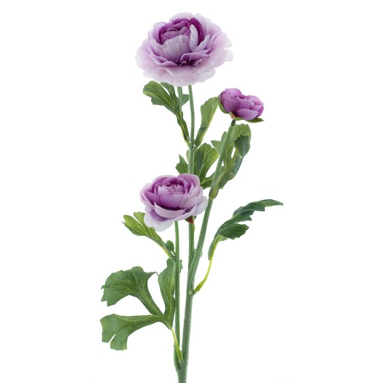 RANUNCULUS X3 PURPLE 64CM