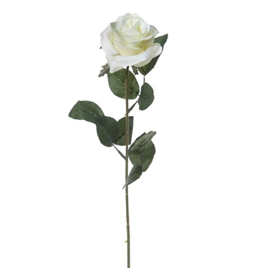 ROOS 66CM CREME ROOS 66CM CREME