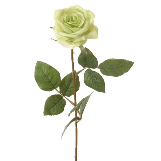 ROSE 66CM VERT