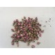 ROZEKNOPJES NATUREL +/-50GR