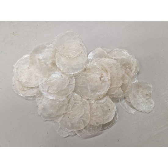 COQUILLES PLACUNA MINI NATUREL 500GR