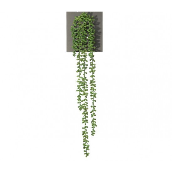 SENECIO 70CM GROEN