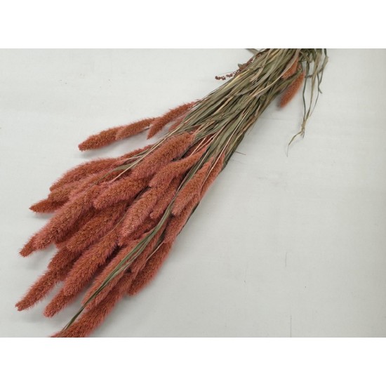 SETARIA ROZE 1/2 BOPP/kraft