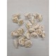 SHOLA PIVOINE 6CM NATUREL 20PCS