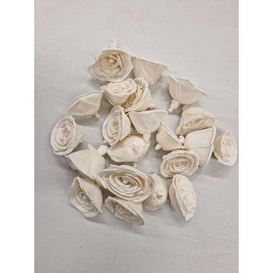 SHOLA ROSE 6CM NATUREL 20ST