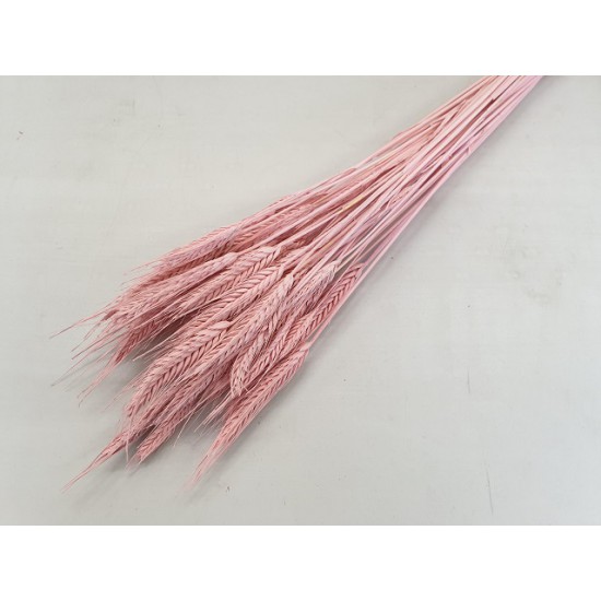 TRITICALE PASTEL ROZE 1/2 BOPP/kraft