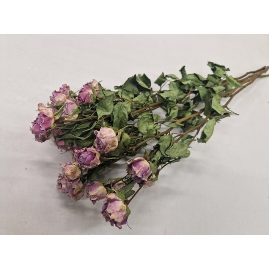 ROSES SPRAY LILAC - SIVER SHADOW NATURAL 1/2 BOPP/kraft Small packaging