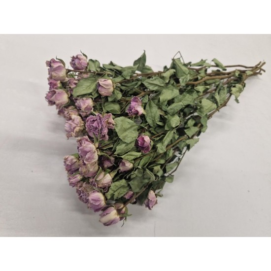 SPRAY ROSES LILAC - SILVER SHADOW NATURAL