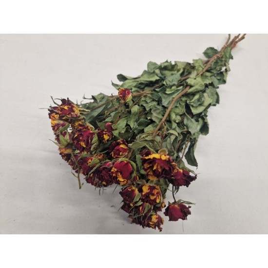 SPRAY ROSES RED/YELLOW - FIRE FLASH NATURAL BOPP/kraft Small packaging