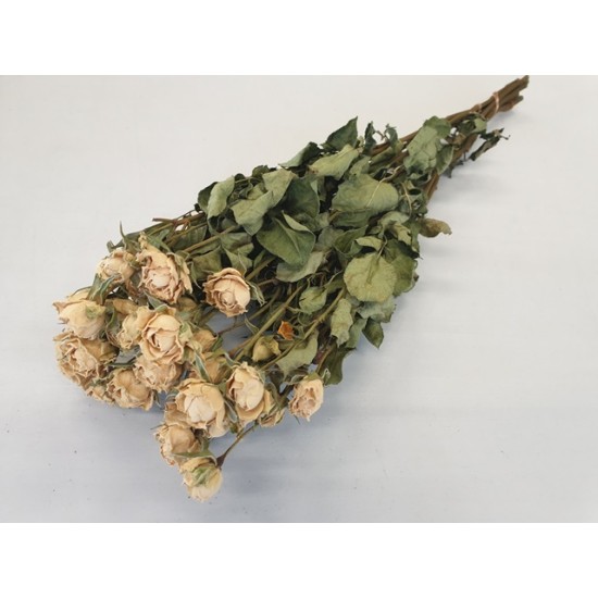 ROSES SPRAY WHITE NATURAL 1/2 BOPP/kraft