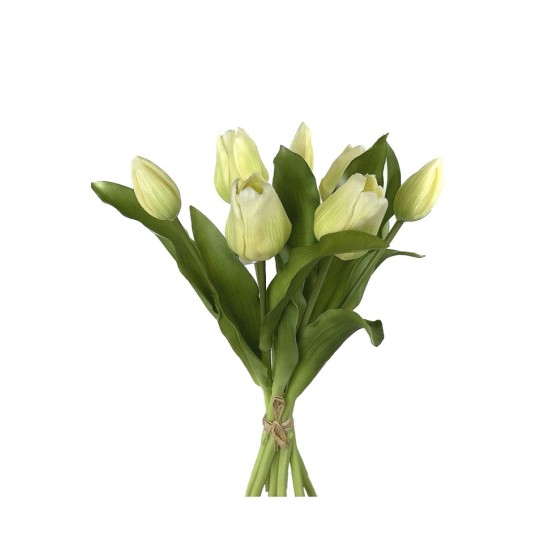 TULP BUNDEL 30CM LICHTGEEL