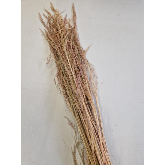 UVA GRASS NATURAL PINK +/-100GR BOPP/kraft