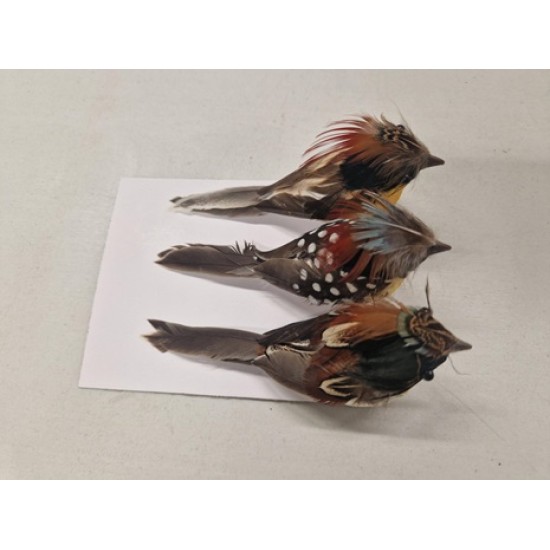 OISEAUX NATUREL +/-12CM AVEC CLIP 3PCS