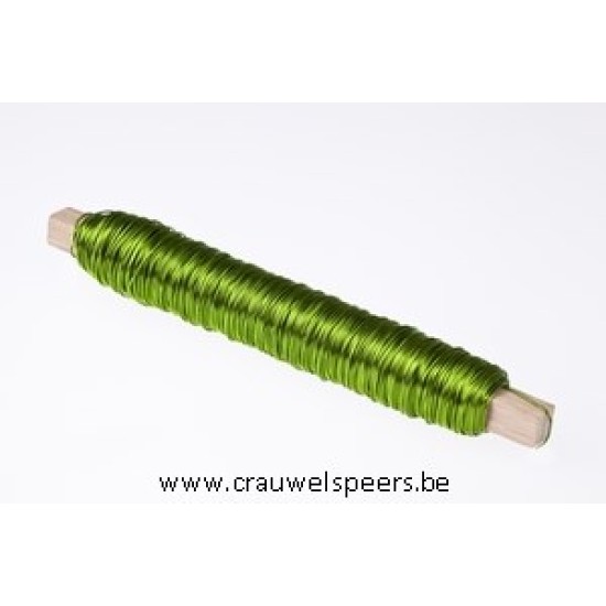 FIL DE FER  VERT POMME SUR BATONNET EN BOIS 100GR 1PC