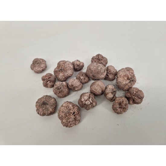 WILD APPLE MINI / PARAS PEEPLE ROSEGOLD +/-250GR