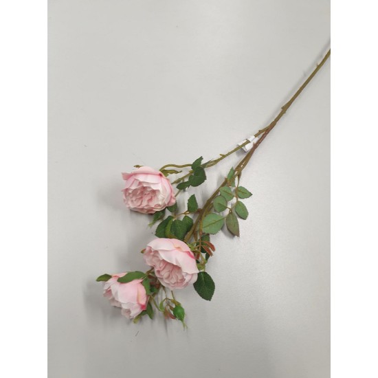 WILD ROOS 60CM ROZE